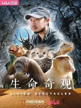 《生命奇观》：震撼！微观视角揭秘地球生命演化史，叹为观止！